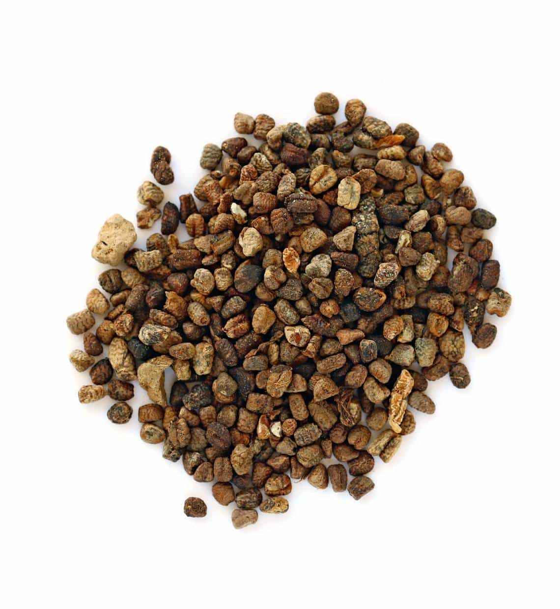 Cardamome décortiquée 40g - La route des Indes