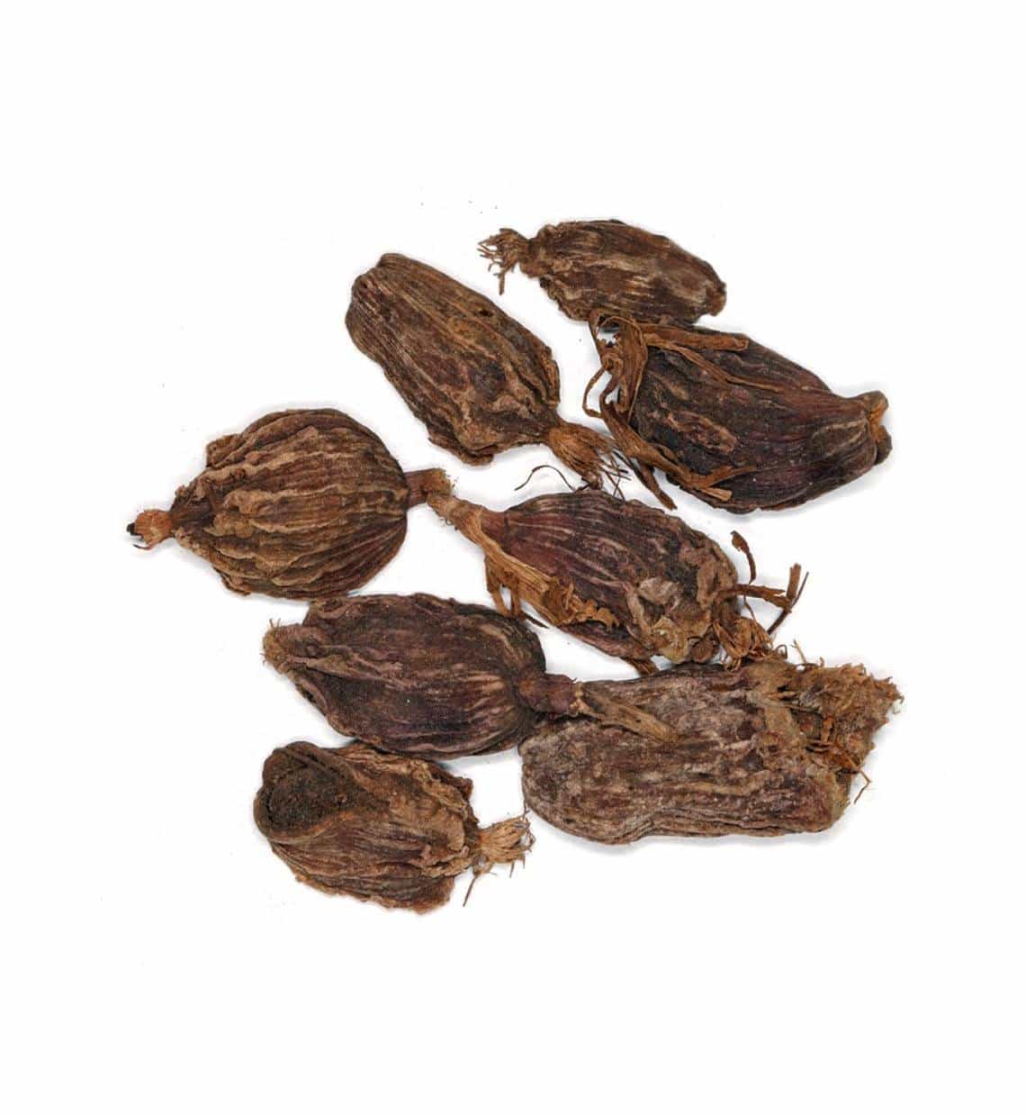 Cardamome noire entière 24g - La route des Indes