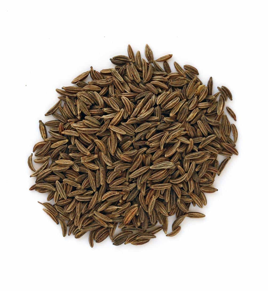 Carvi entier 40g - La route des Indes