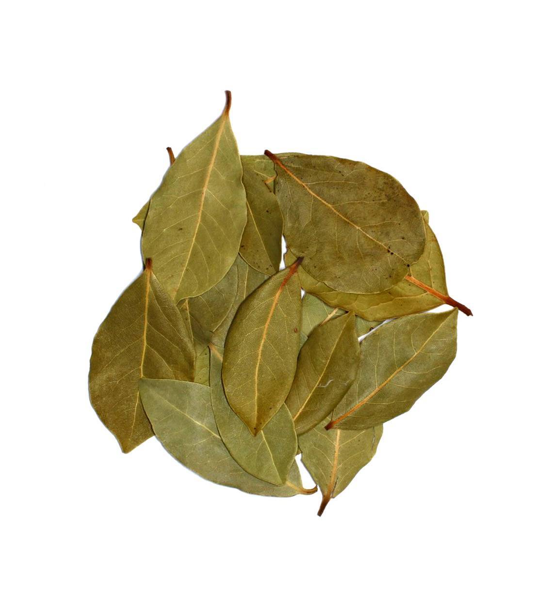 Laurier entier de qualité supérieure 8 g - La route des Indes