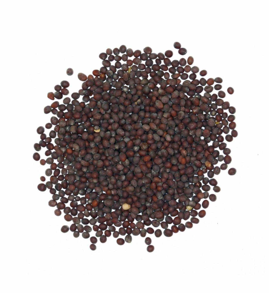 Moutarde noire entière 60g - La route des Indes