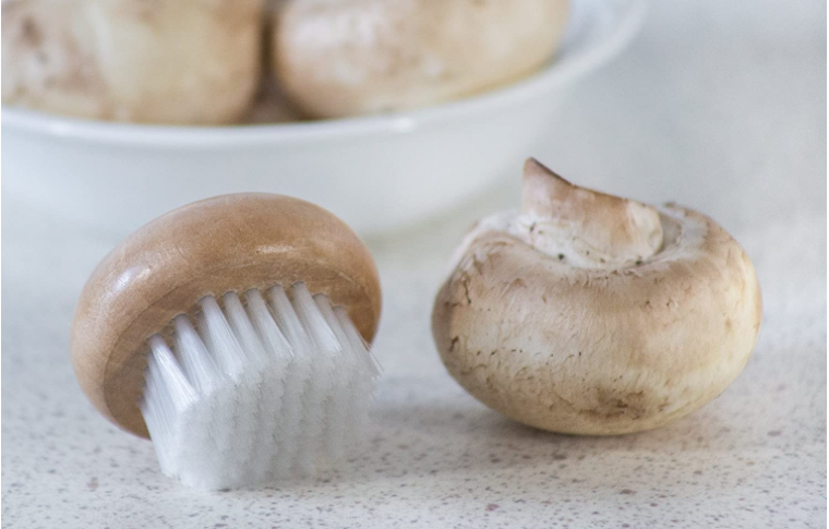 Brosse en bois pour champignon