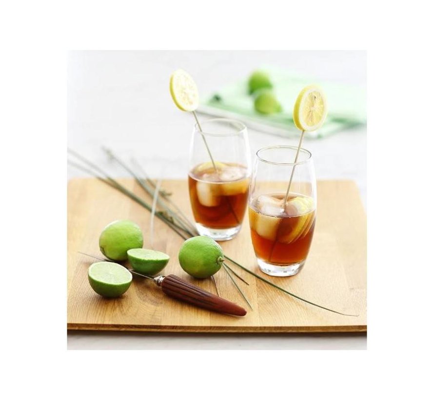 Ensemble de 6 verres 17oz