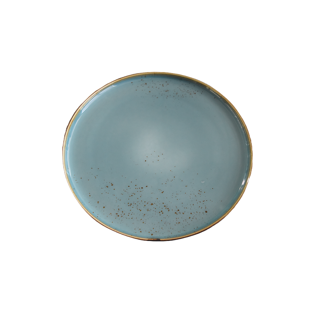 Grande assiette Terra bleu pâle 11po