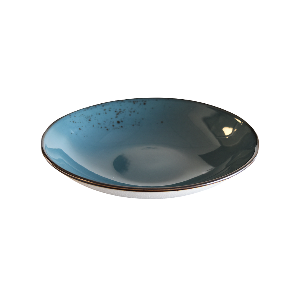 Bol Terra Bleu Foncé  10 po