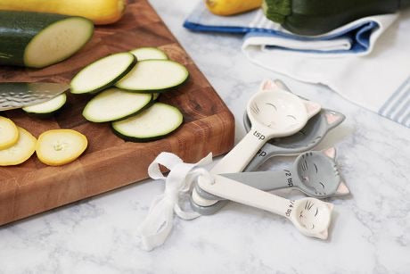 Cuillère à mesurer chat