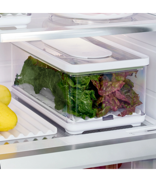 Rangement avec tapis de conservation pour réfrigérateur rectangulaire