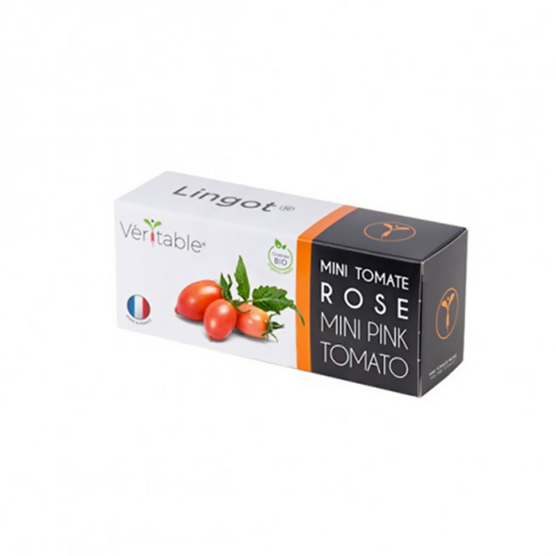 Lingot pour jardin d'intérieur Mini tomates roses