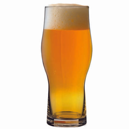 Verre à bière MasterBrew 16oz