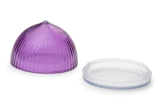 Contenant de conservation pour oignons