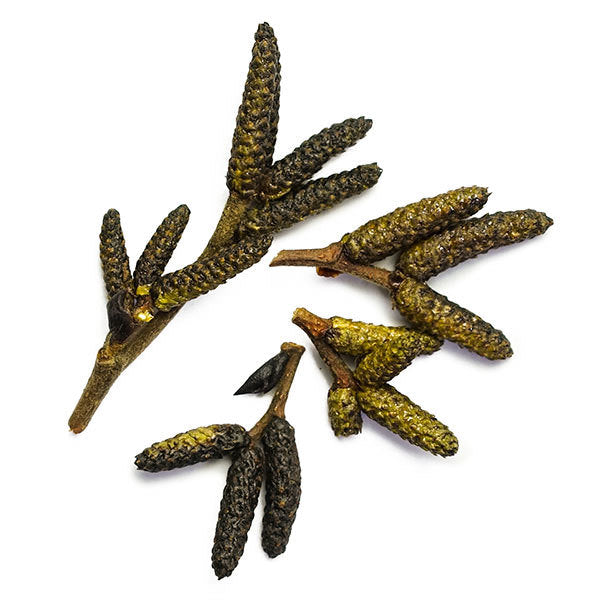 Poivre des dunes 20g - Épices de cru