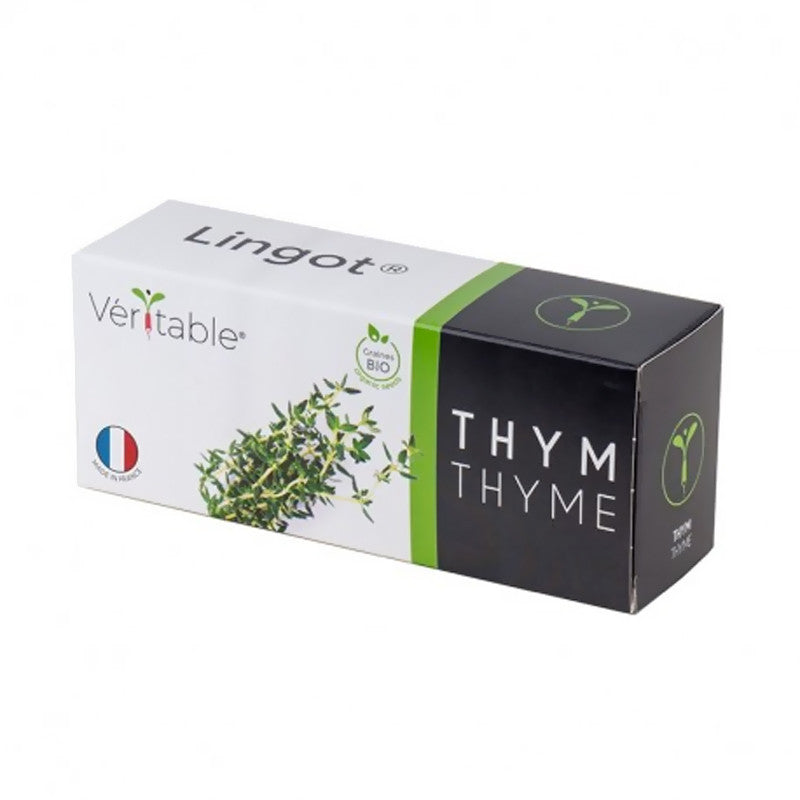 Lingot pour jardin d'intérieur - Thym BIO