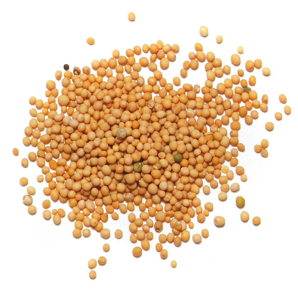 Moutarde jaune 75g - Épices de cru